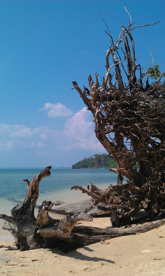 Pellicon Beach Resort เกาะแฮฟล็อค ภายนอก รูปภาพ